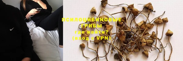 спиды Корсаков