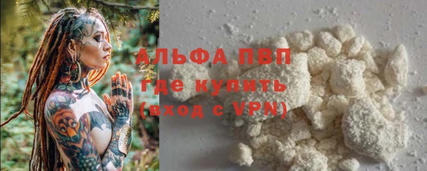 спиды Корсаков