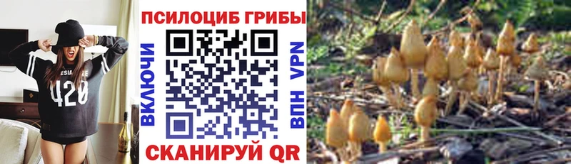 Псилоцибиновые грибы GOLDEN TEACHER Красноуфимск