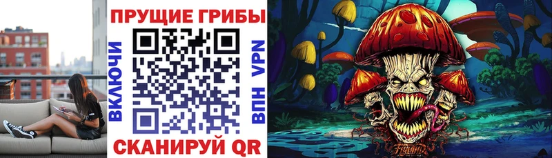 Галлюциногенные грибы Psilocybine cubensis  Красноуфимск 