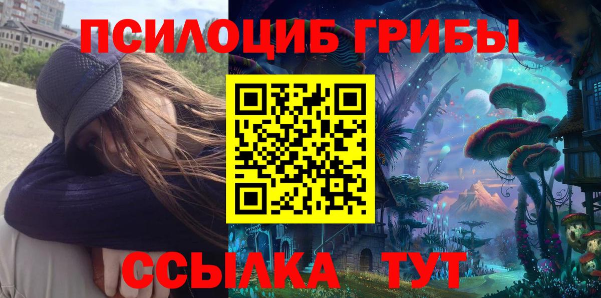 Псилоцибиновые грибы Cubensis Красноуфимск